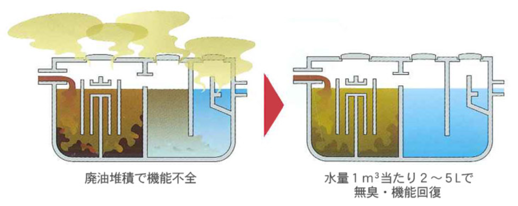 翠龍の生命への働き
